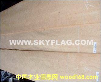 ľƤFϵС0.3ľȸ۵ԔB