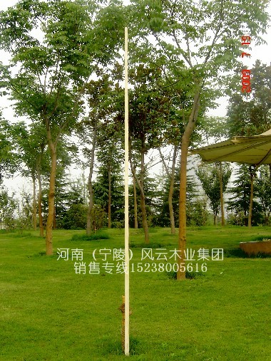 (yng)4.8̫OU/̫OʮU/y(tng)ϞU 