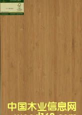 SֱN ȻľƤ----̼(c),ƼľƤ MľƤ ԔB