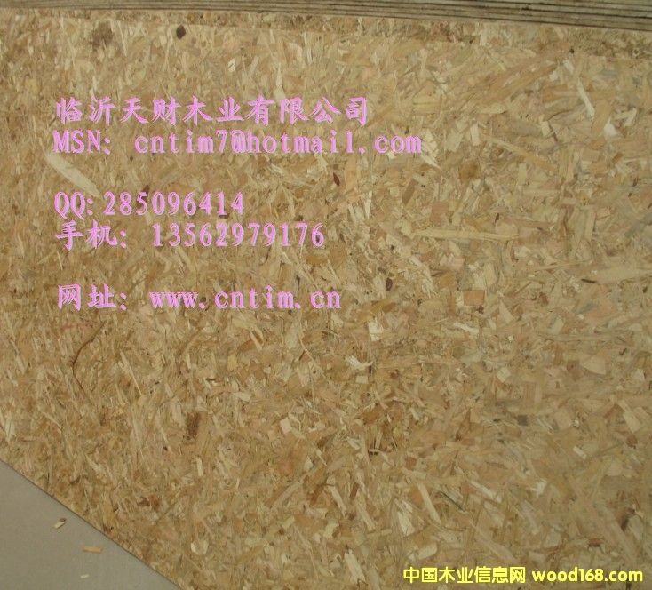 OSB a(chn)Ʒ(qing)ȸ |(zh)(wn)13562979176Ԕ(x)B