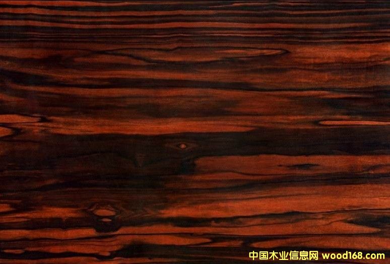 {(ln)ɫl(wi)(yng)(yu)|(zh)̴ذ