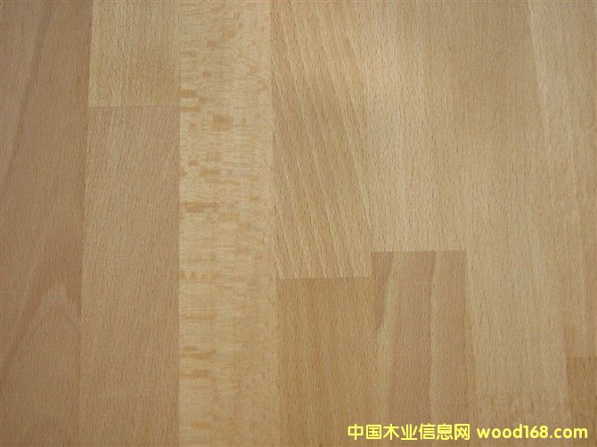 ľB(j)Beech characterԔ(x)B