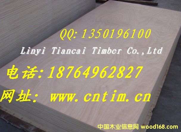 WľؐɼȸN׵ęϵ