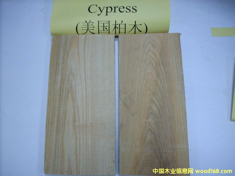 ľ(ҲQˮ)(Cypress)