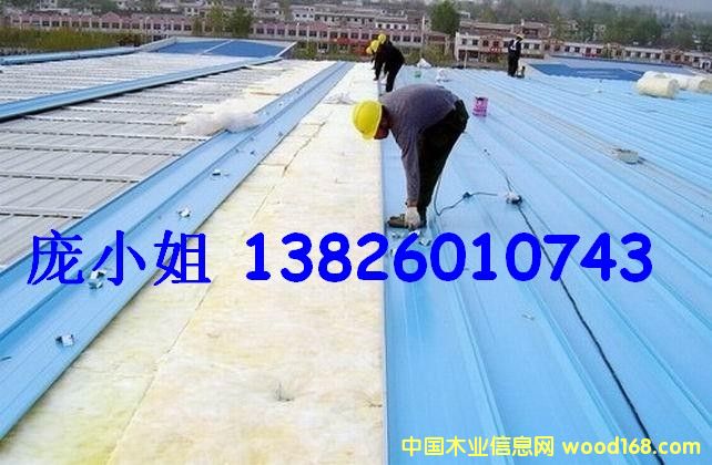 ȫᲣް 50MM Ԕ(x)B