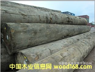 (yng)Ƭ ɽԭľ  ľ (KAPA / KPXX)