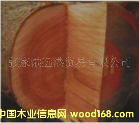 Ҹh(yun)ľI(y) (yng) һԭľ  ľ