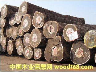 非洲紅花梨 非洲紫檀