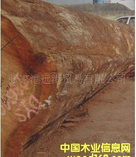 (yng) tԭľ  ľ DX / DYS