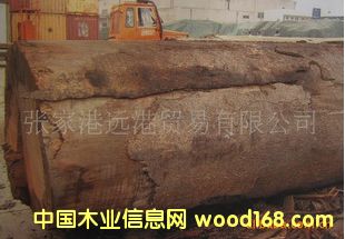 (yng)ؐɼ ԭľ  aBIND / AGA