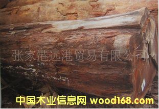 (yng)z t ľԭľ  RGAS/ HEK