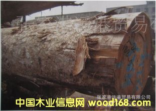 (yng)Sđľ SӲľԭľ ľ HAY / NEO