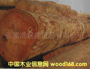 (yng)󻨸ʰͶ ˹ԭľ ľ KEM