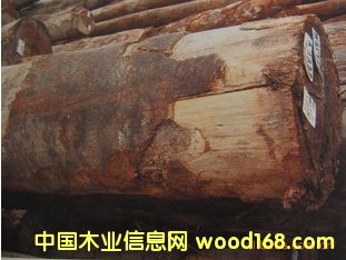 (yng)С}A ͩԭľ ľ JELU