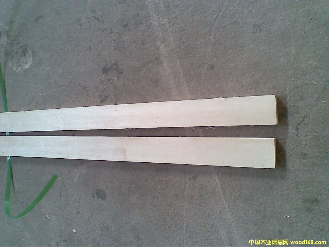 LVLlژ(bio)(zhn)Ԕ(x)B