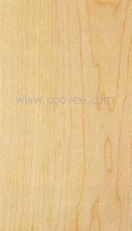 Hard Maple(ӲǗľԔB