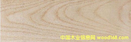 ľȸľ Hackberry