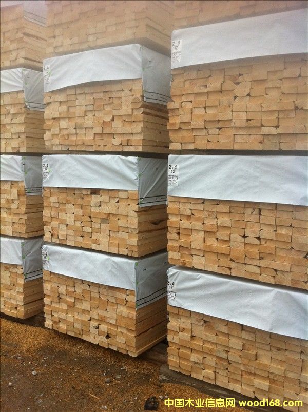 (yng)ô(yu)|(zh)SPFȰĵԔ(x)B