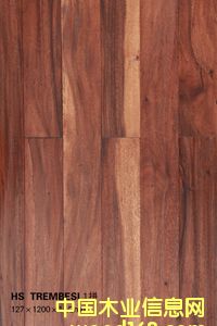 HS  TREMBESI  1ƴԔB