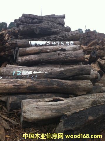 (yu)|(zh)tľԭľС~t̴Ԕ(x)B