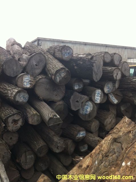 (yu)|(zh)tľԭľС~t̴Ԕ(x)B