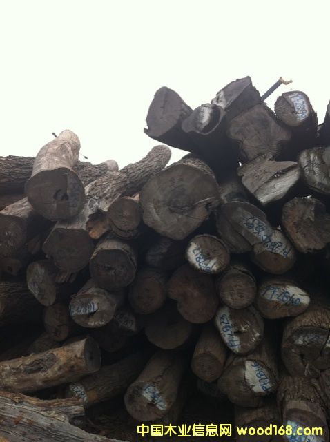 (yu)|(zh)tľԭľС~t̴Ԕ(x)B