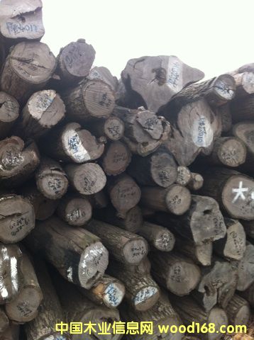 (yu)|(zh)tľԭľС~t̴Ԕ(x)B