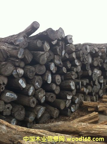 (yu)|(zh)tľС~t̴Ԕ(x)B