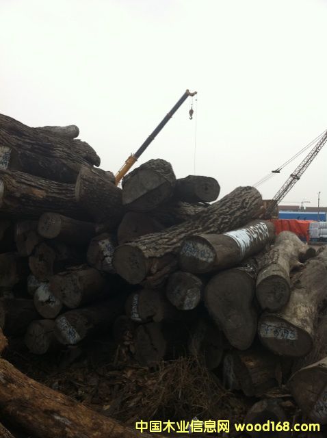 (yu)|(zh)tľԭľС~t̴Ԕ(x)B