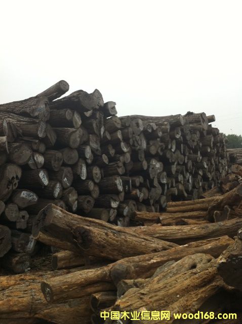 (yu)|(zh)tľԭľС~t̴Ԕ(x)B