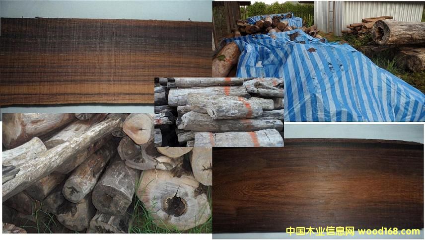 (yng)- ϓ̴ԭľԔ(x)B