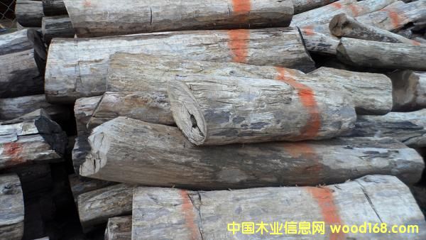 (yng)- ϓ̴ԭľԔ(x)B