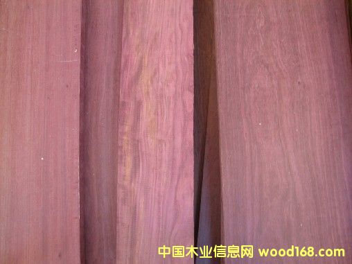 灆ľ PURPLE HEART WOODԔ(x)B