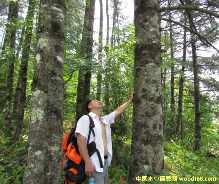 ĴʡVԪɘˮ11000D(zhun)׌Ԕ(x)B