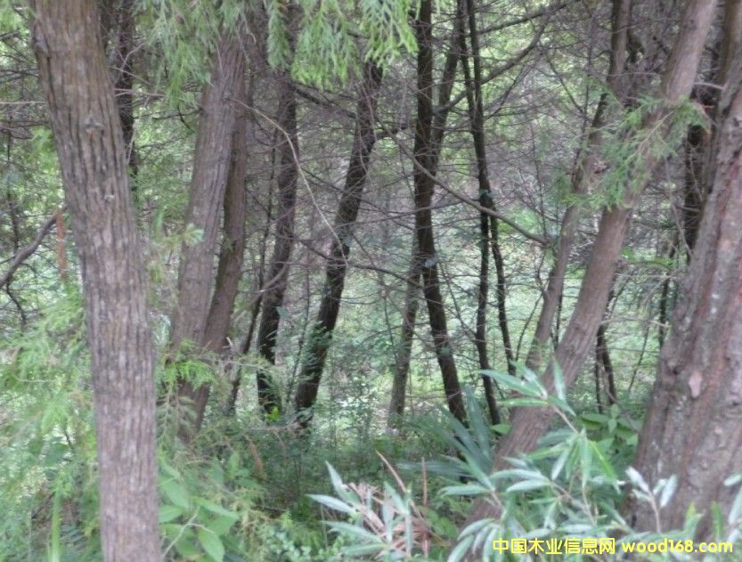 ĴʡVԪ10000஀ɰػ콻ֵصԔ(x)B