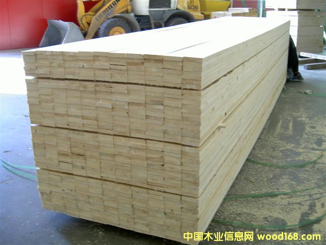 歐洲云杉的詳細(xì)介紹