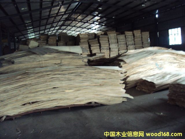 (yng)|(zh)ӷeėľLVLԔ(x)B