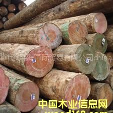 l(f)(yu)|(zh)Mڟo(ji)ݗԭľ