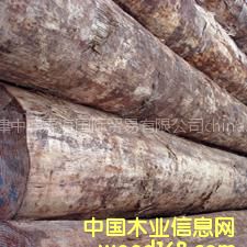 l(f)(yu)|(zh)Mڴֱo(ji)ݗԭľ