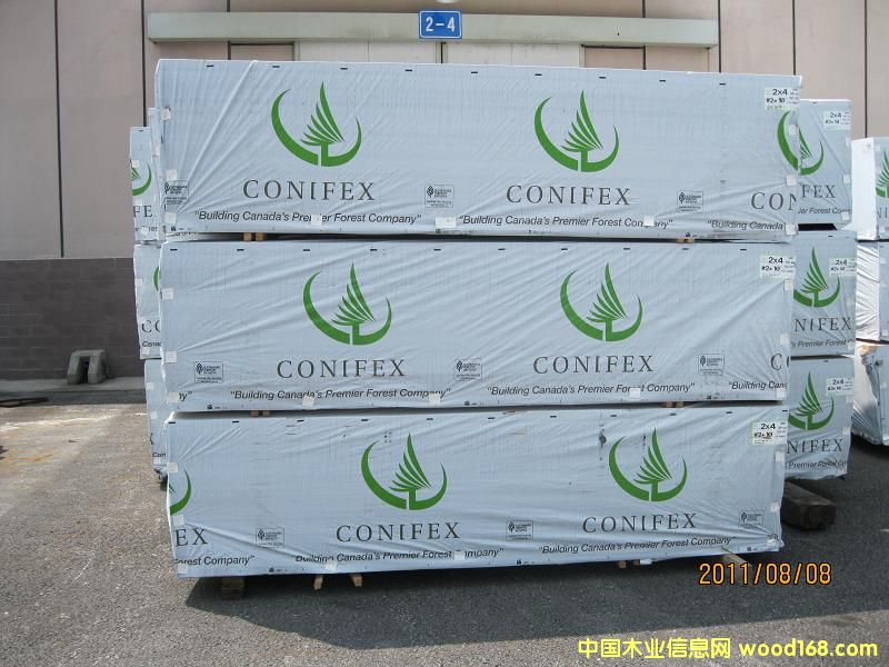 加松的詳細介紹