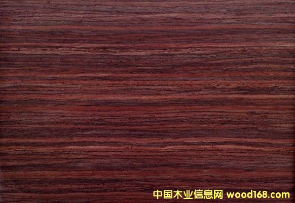 GH5100o(w)ȩቺNzԔ(x)B