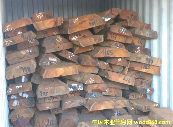 ֦/madagascariensis /С~t̴ԔB