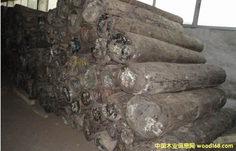 ~̴/RϺS̴/R_(d)˹S̴-Dalbergia