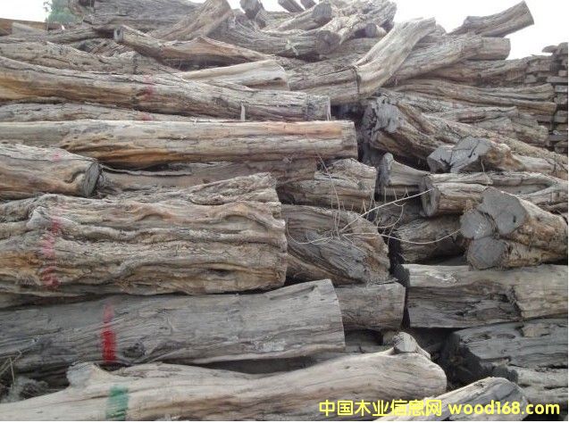 |ǺS̴/ޞľ/Ϲ̴--MڈPԔB