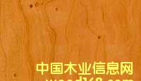 櫻桃木的詳細(xì)介紹