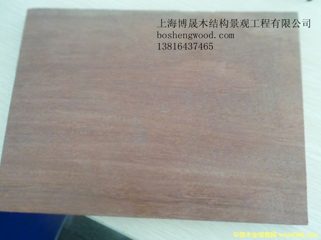 梢木的詳細介紹