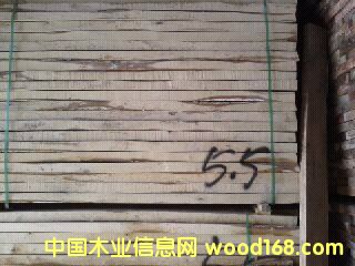 樺木的詳細介紹