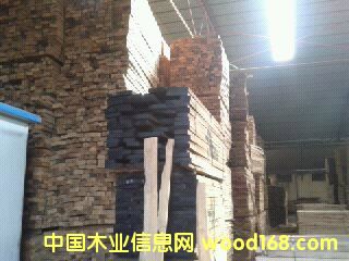 樺木的詳細介紹