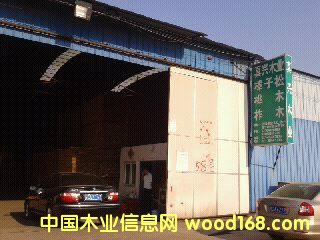 樺木的詳細介紹