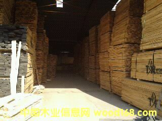 樺木的詳細介紹